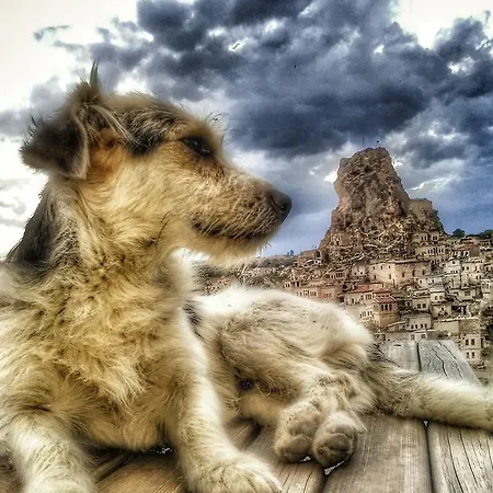 Queen's Cave Cappadocia Ortahisar