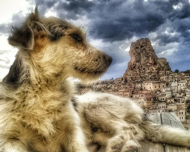 Queen's Cave Cappadocia Ortahisar