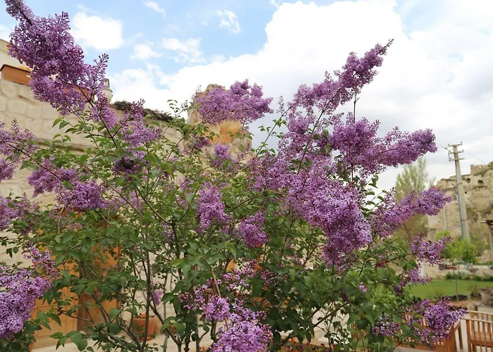 Hotel Queen's Cave Cappadocia 2*